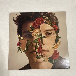 Shawn Mendes Vinyl